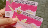 Pink anak