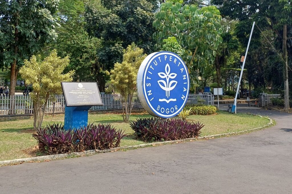 IPB