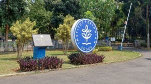 IPB