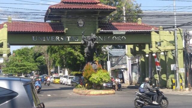 Undip